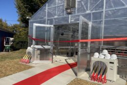 Hydroponic greenhouse at Anacostia High School