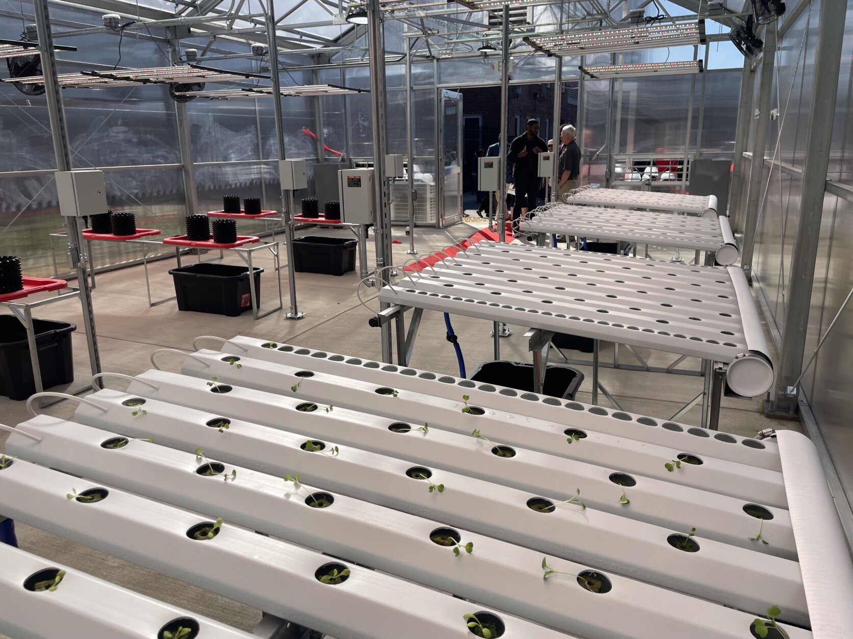 Inside of hydroponic greenhouse