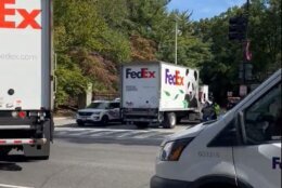 Trucks carrying the giant pandas pull into the National Zoo on Oct. 15, 2024.