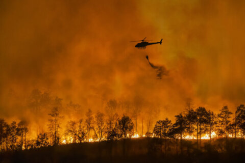 It’s wildfire season in Va. How you can help prevent them?