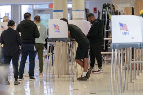 Voters head to polls across DC, Maryland and Virginia to cast their ballots in high-stakes election