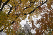 DC region dries off with gusty winds after serving soggy Thanksgiving Day morning