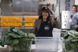 Vice President Kamala Harris celebrates Thanksgiving Day by helping to prepare vegetables at the DC Central Kitchen in Washington Thursday, Nov. 28, 2024. (AP Photo/Ben Curtis)