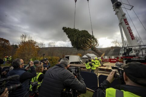 Haul out the holly! Rockefeller Center Christmas Tree arrives in New York City