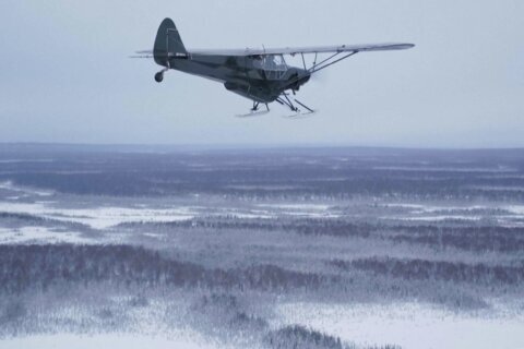 ‘It’s a bird! It’s a plane!’ In Alaska, it’s both, with a pilot tossing turkeys to rural homes