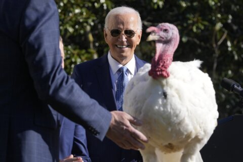 Joe Biden begins final White House holiday season with turkey pardons for ‘Peach’ and ‘Blossom’