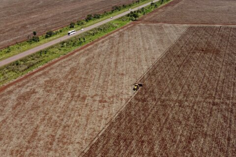 Brazilian state law overturns soy moratorium that helped curb Amazon deforestation