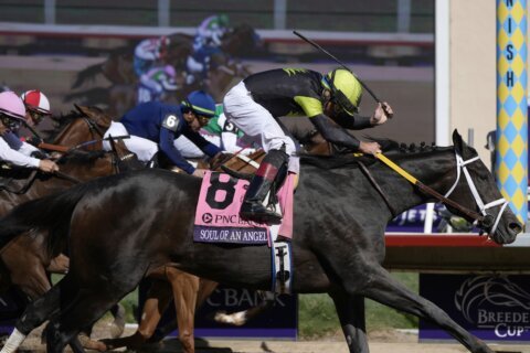 Sierra Leone wins $7 million Breeders’ Cup Classic after suffering close loss in Kentucky Derby