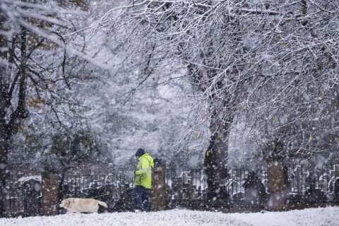 School closures and travel delays as Arctic air brings snow and sleet to parts of the UK