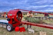 Bye bye Thanksgiving — Montgomery Co. orchard prepares for Christmas tree rush