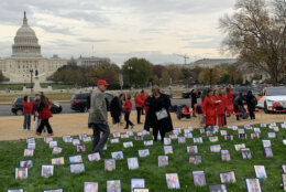 Group holds vigil on the National Mall in Washington, D.C.