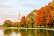 Feasting, shopping and traveling this Thanksgiving? Here's the weather outlook for the DC area