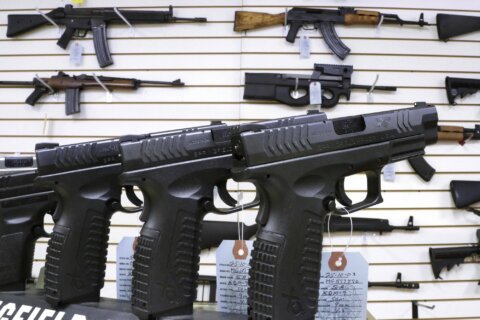 Virginia House approves gun control bills over GOP objections
