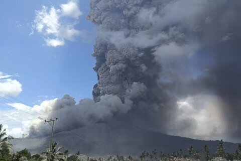 Indonesia’s Mount Lewotobi Laki Laki continues to unleash towering column of hot clouds