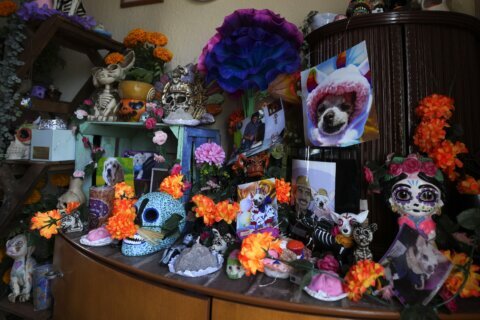 Pets join Mexico’s Day of the Dead celebrations, as Fido and Tiger get their own altars