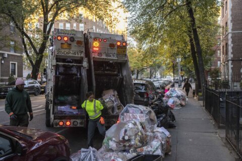 Rats feast on New York’s City’s bagged garbage. Can putting it in bins end the smorgasbord?