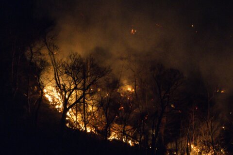 Wildfire threat remains in place for much of US Northeast as dry conditions persist