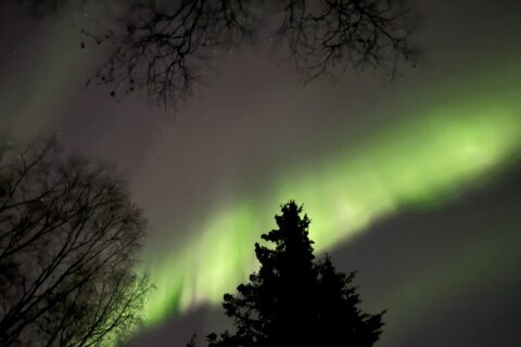 Northern lights may be faintly visible across parts of the US this Thanksgiving