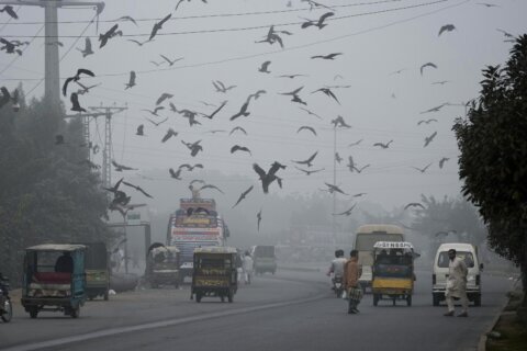 Pakistani province declares health emergency due to smog and locks down two cities