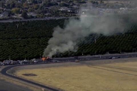 5 people are killed in Arizona when a plane crashes through an airport fence and collides with a car