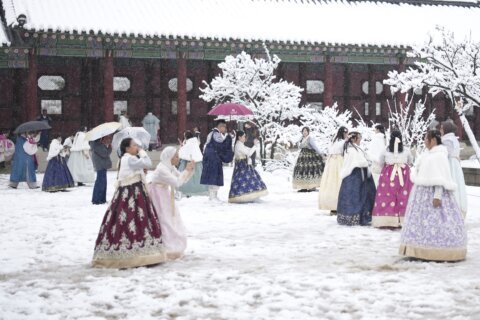 Worst November snowstorm in half century hits Seoul and grounds hundreds of airplane flights