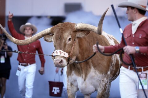 No Bevo? SEC tells Texas there’s no room for its 1,700-pound longhorn at title game vs. Georgia