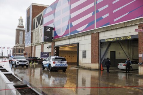 Disgruntled fired employee kills two workers at Chicago's Navy Pier, police say