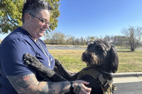 ‘I got my life back.’ Veterans with PTSD making progress thanks to service dog program