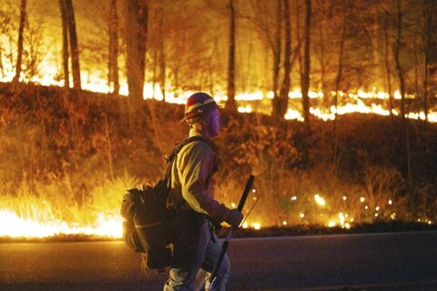 New wildfires burn in US Northeast while bigger blazes rage out West