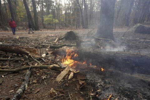 Fire crews on both US coasts battle wildfires