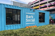 Dog owners sad and stunned to see Bark Social shut down