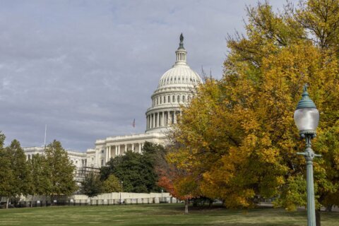 Tours at US Capitol stopped as man with torch lighter, flare gun tries to deliver papers to Congress