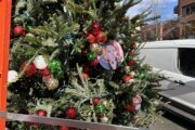 Floriana chooses 'La Dolce Vita' for annual Christmas tree theme