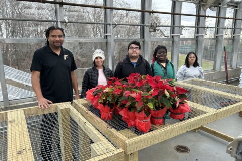 Prince William County students with disabilities grow poinsettias, collect donations to benefit peers