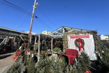 Some last minute Christmas tree and wreath shoppers stopped by Greenstreet Gardens in Virginia on Sunday. (WTOP/Heather Gustafson) 