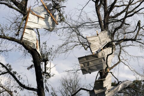 Tornadoes touch down in Texas and Mississippi, killing two and injuring six others