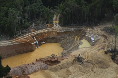 Organized crime gangs expanded into a third of cities in Brazil’s Amazon, report finds