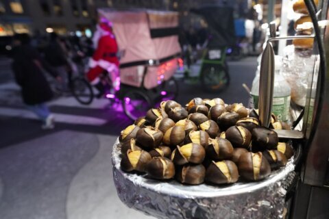 ‘Tis the season for roasting chestnuts. But in the US, native ones are almost gone