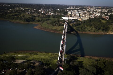 26 people arrested in crackdown on illegal deforestation along Paraguay, Brazil and Argentina border