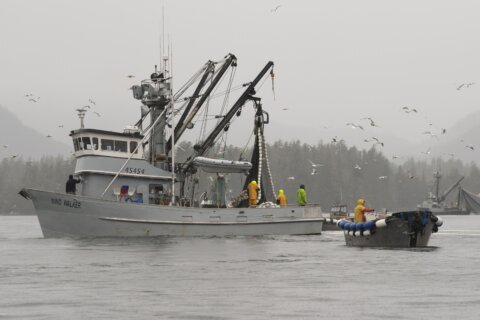 US Coast Guard is searching for 5 people after a fishing boat reportedly capsized in seas off Alaska