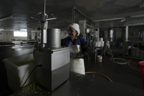 Power shortages in Ecuador are melting away the future of a small town’s ice-cream industry