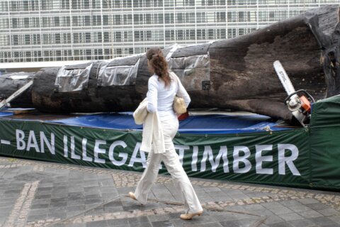 EU pushes back deforestation law by a year after outcry from global producers