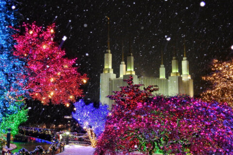 Festival of Lights at Kensington LDS Temple brings huge crowds and traffic problems