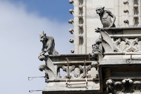 Five things you probably didn’t know about Notre Dame Cathedral in Paris