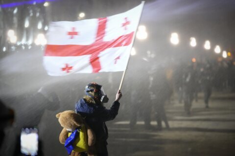 Demonstrators again converge on Georgia’s parliament after the country’s EU bid was suspended