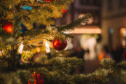 How to keep your Christmas tree looking fresh into the new year