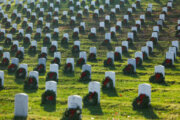 Arlington National Cemetery invites public to help remove wreaths during annual event