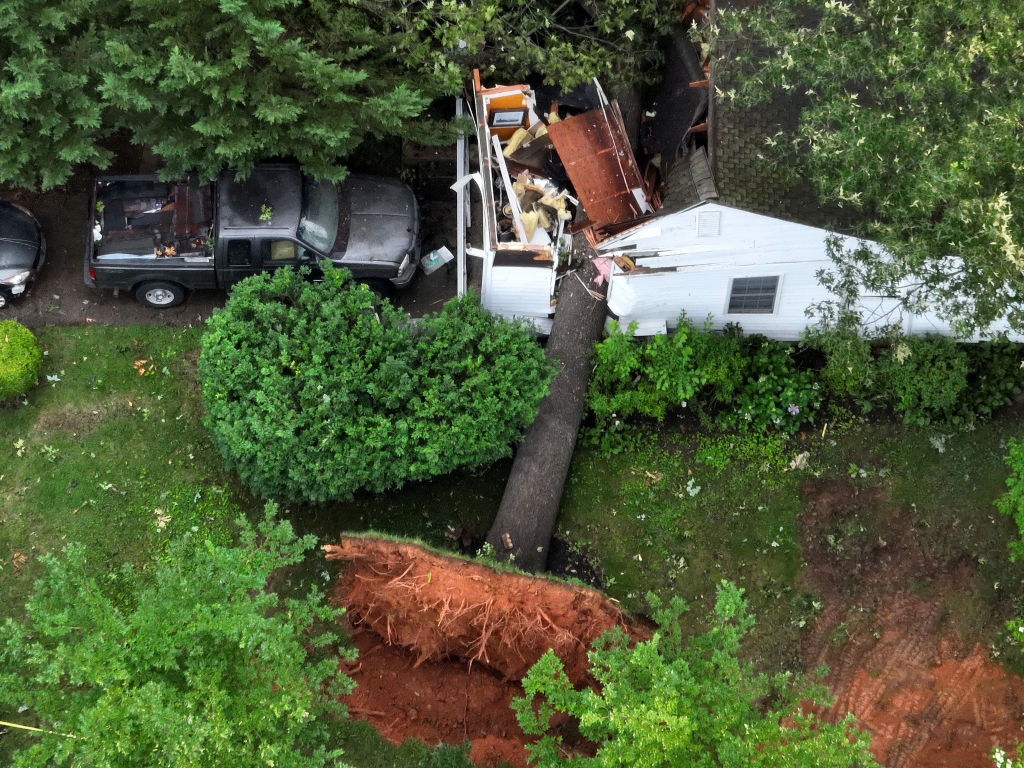 tree on top of home