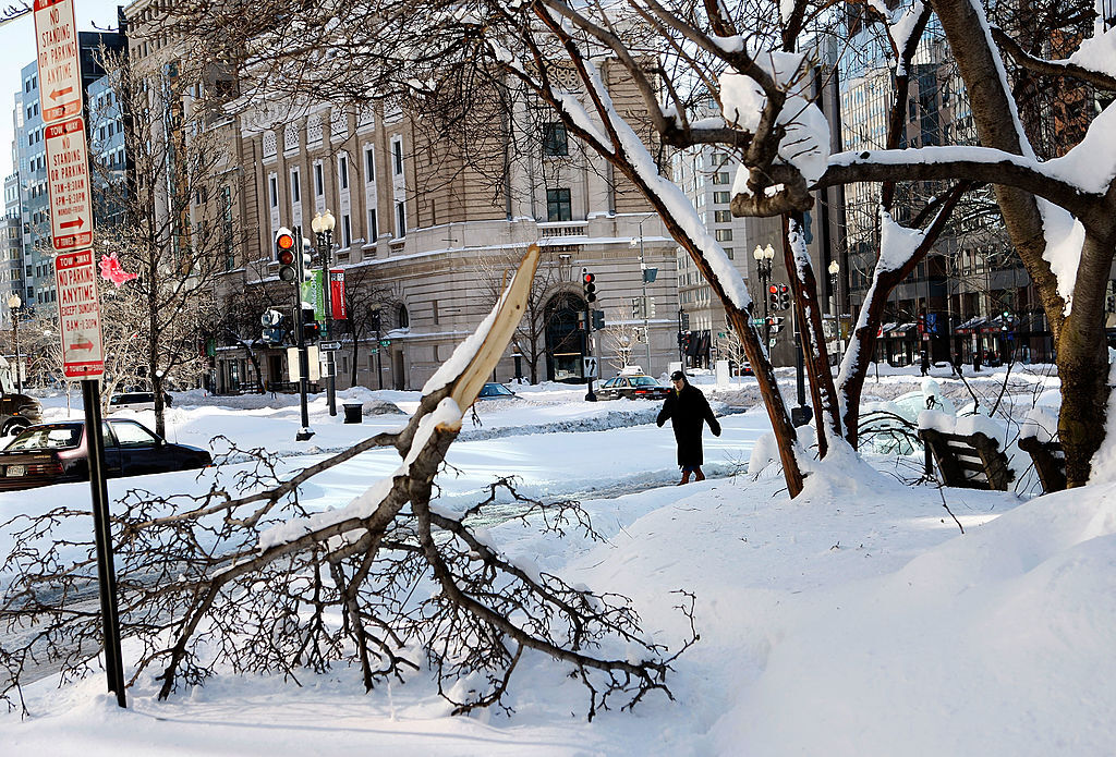 WASHINGTON - FEBRUARY 11:  A pedestrian walks behind tree branches that snapped from the weight of thick snow following yesterday�s snowstorm February 11, 2010 in Washington, DC. Washingtonians had to dig out again after the region was hard hit by a second mega snowstorm in five days making 2009 - 2010 the snowiest winter since the record has been kept in 1870.  (Photo by Alex Wong/Getty Images)