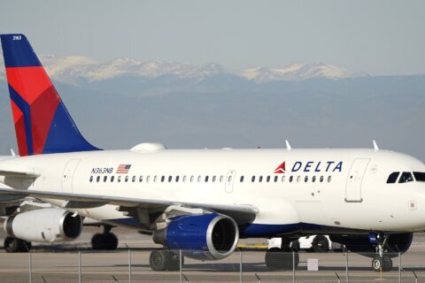 Another unticketed passenger attempts to stow away on a Delta flight this holiday season